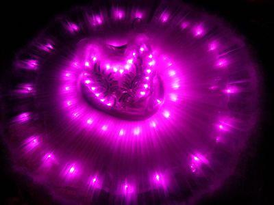 Robe Tutu bretelles lumières LED coloris blanc ou violet
